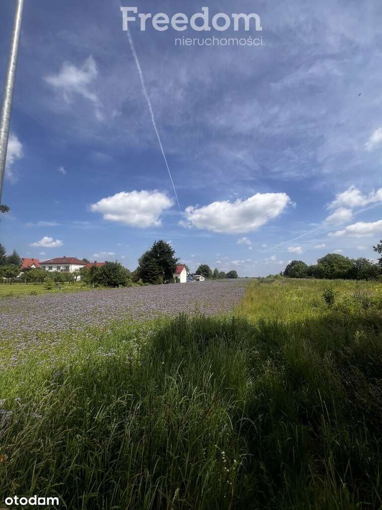 Działka usługowo-produkcyjna Świdnik Duży Drugi - Pełny obrazek: 2/4