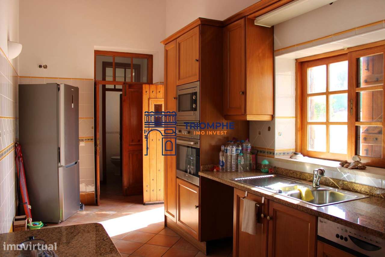Quinta 22.440m2- ESTOMBAR - Carvoeiro-4