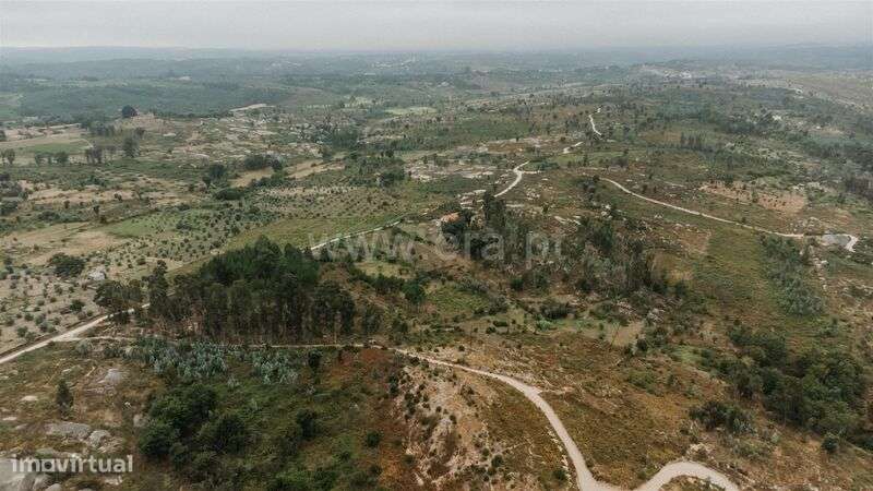 Quinta / Seia, Sameice e Santa Eulália - Grande imagem: 4/20