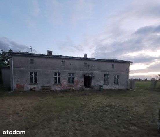 Sprzedam siedlisko, ziemia 1h - Pełny obrazek: 3/4