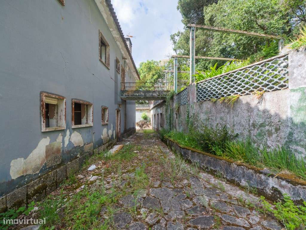 Quinta de 1 ha com moradia de 260 m2-26