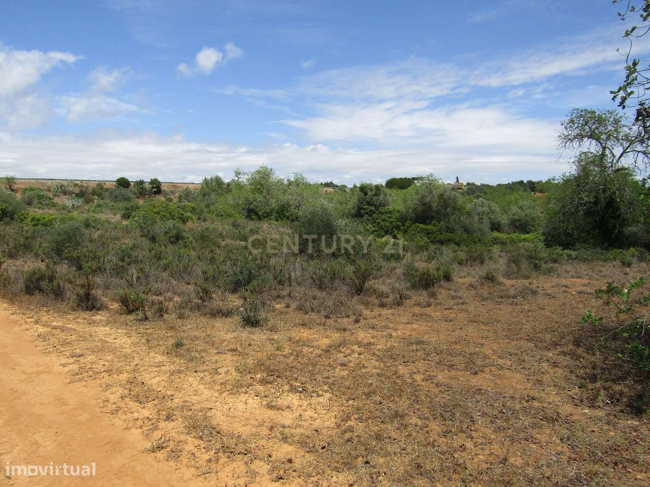 Terreno Rústico - Grande imagem: 4/7