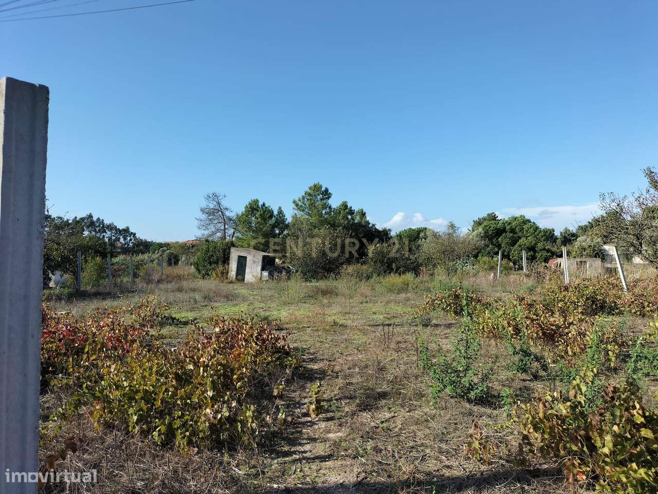 Terreno com 5500m à entrada do Pinhal Novo - Palmela - Grande imagem: 4/16