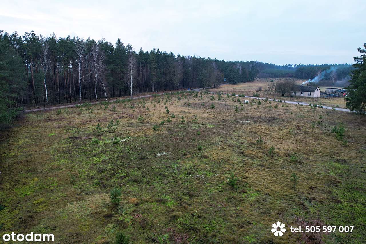W sprzedaży działki które, usytuowane są w malowniczej otulinie lasu. - Pełny obrazek: 5/10