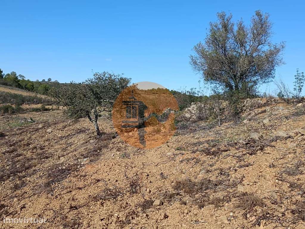 TERRENO COM 57.320 M2 - COM VISTA LAGO - PRÓXIMO AO VALE DO PEREIRO... - Grande imagem: 5/56