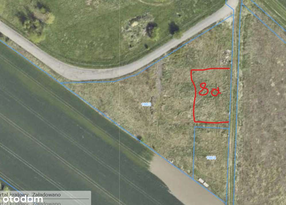 Brzeg, działka budowlana 800 m2 z mediami, dojazd drogą asfaltową - Pełny obrazek: 1/4