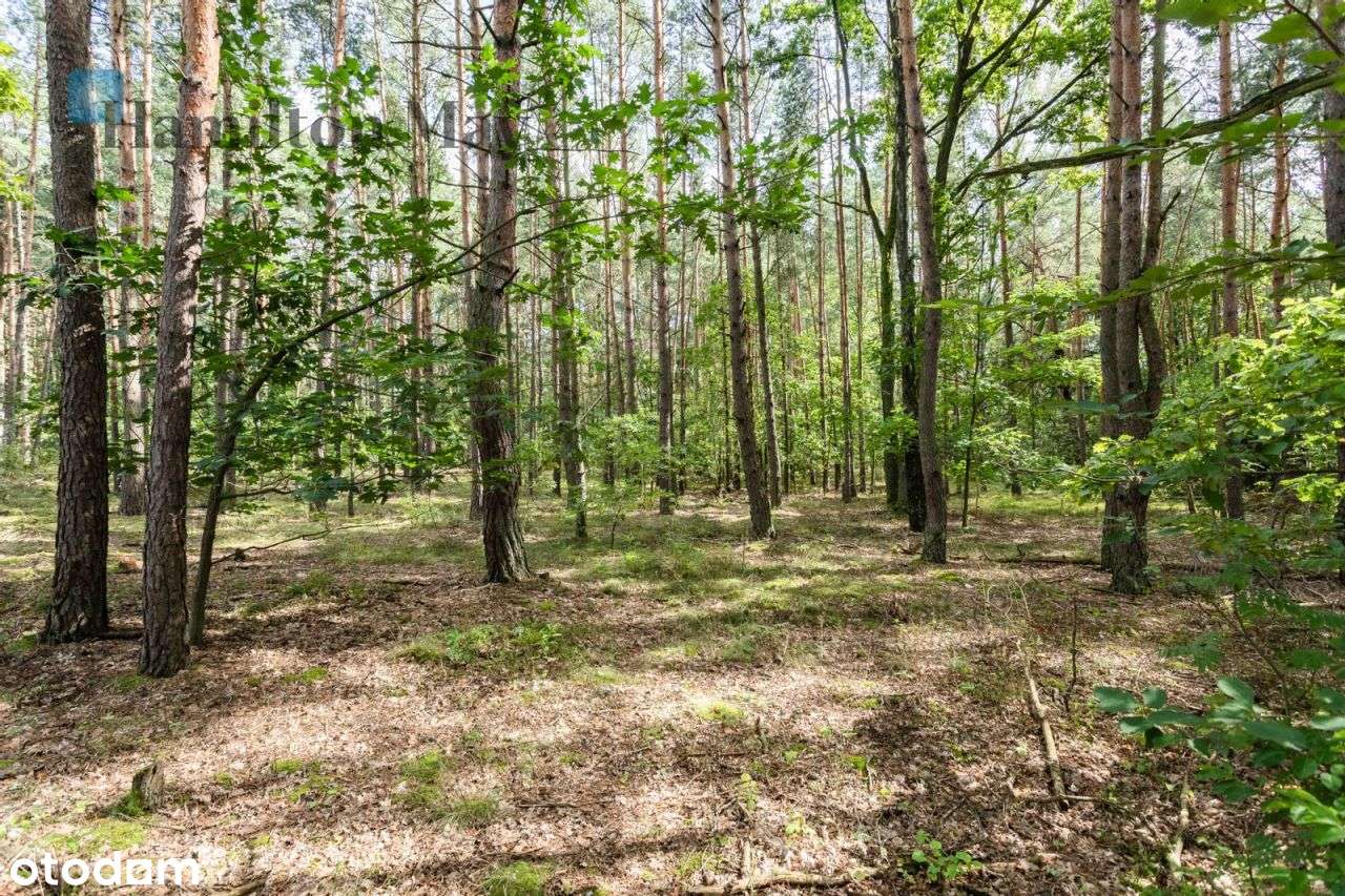 Działka budowlana na sprzedaż w Magdalence - Pełny obrazek: 4/20