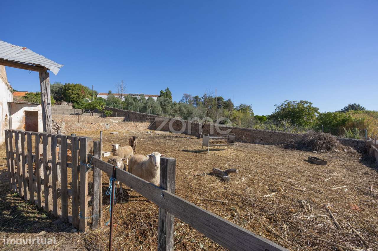 Lagar || Montalvo, Constância-13