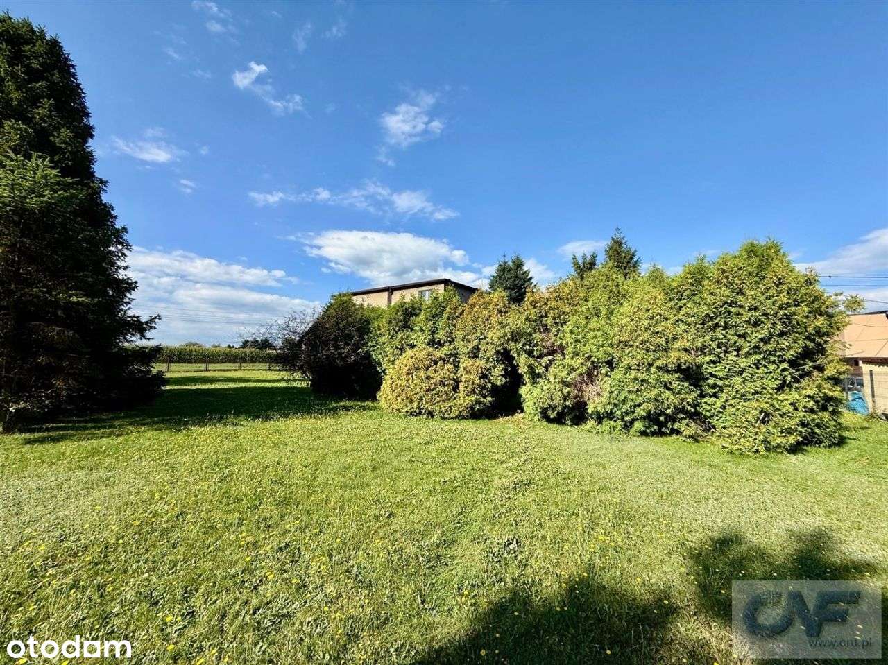 Tychy Czułów, działka dla dewelopera-5