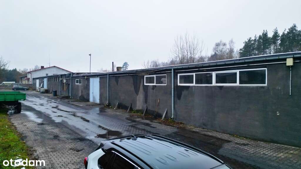 Hala produkcyjna 1700 m2 / działka 4488 m2 - Pełny obrazek: 3/8
