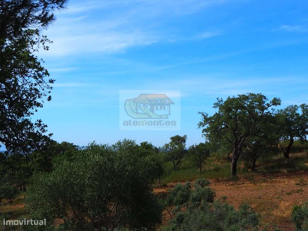 Monte Alentejano com vista mar a 10 minutos de Melides! - Grande imagem: 2/6