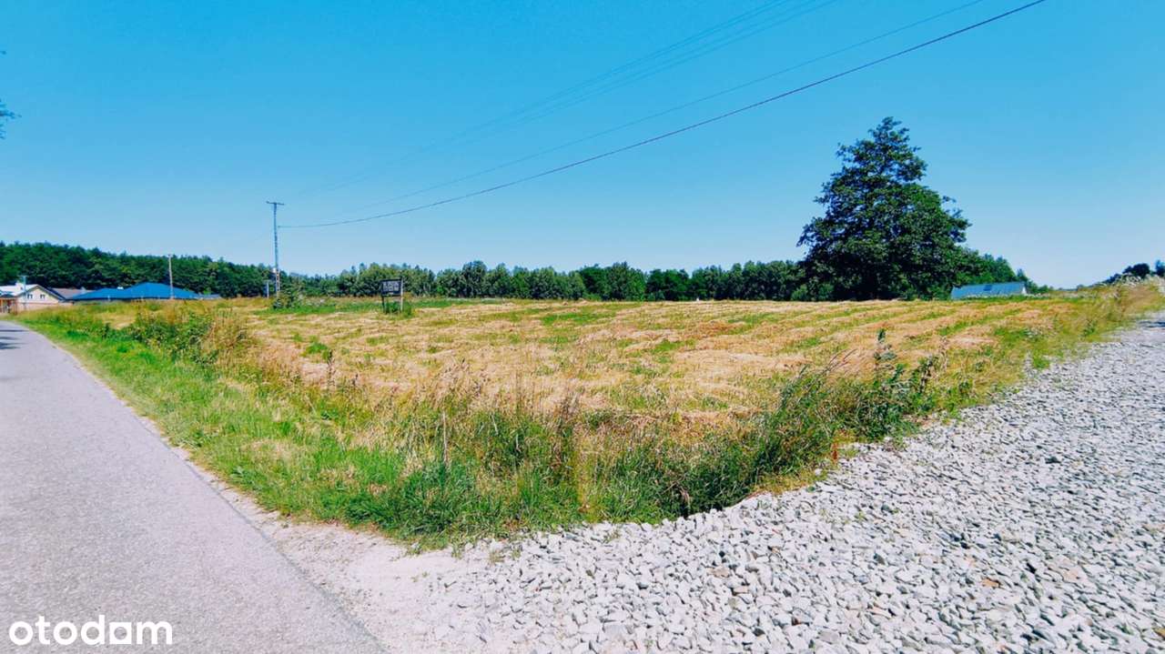Borówki-Lasek, działka z WZ przy drodze powiatowej-1