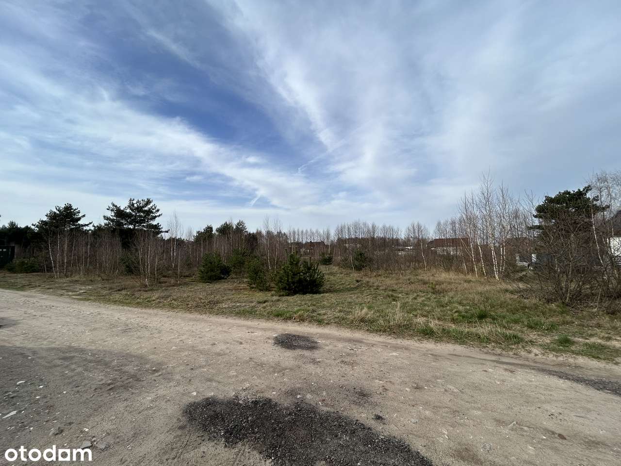 Działki w spokojnej okolicy las Września dogodny dojazd - Pełny obrazek: 5/16