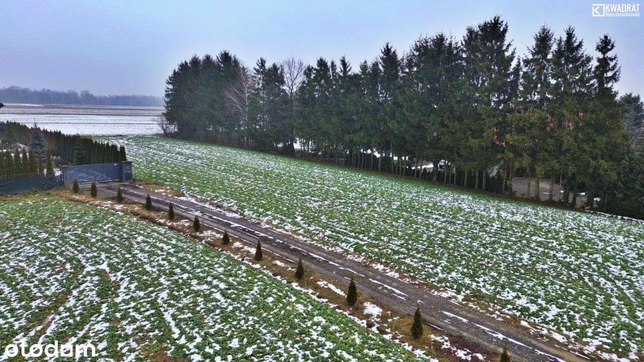 Działka budowlana 1513m2 - Zemborzyce Dolne - Pełny obrazek: 4/7
