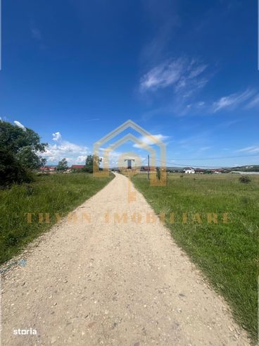 Teren extravilan de 10.030 mp – Petrești, Sebeș-3