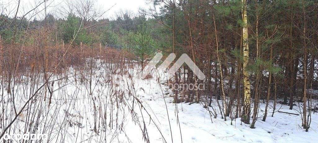 Działki w otoczeniu leśnym-0