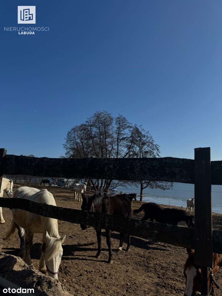 Działka rekreacyjno-usługowa w Borucinie – 1 055 m - Pełny obrazek: 3/5