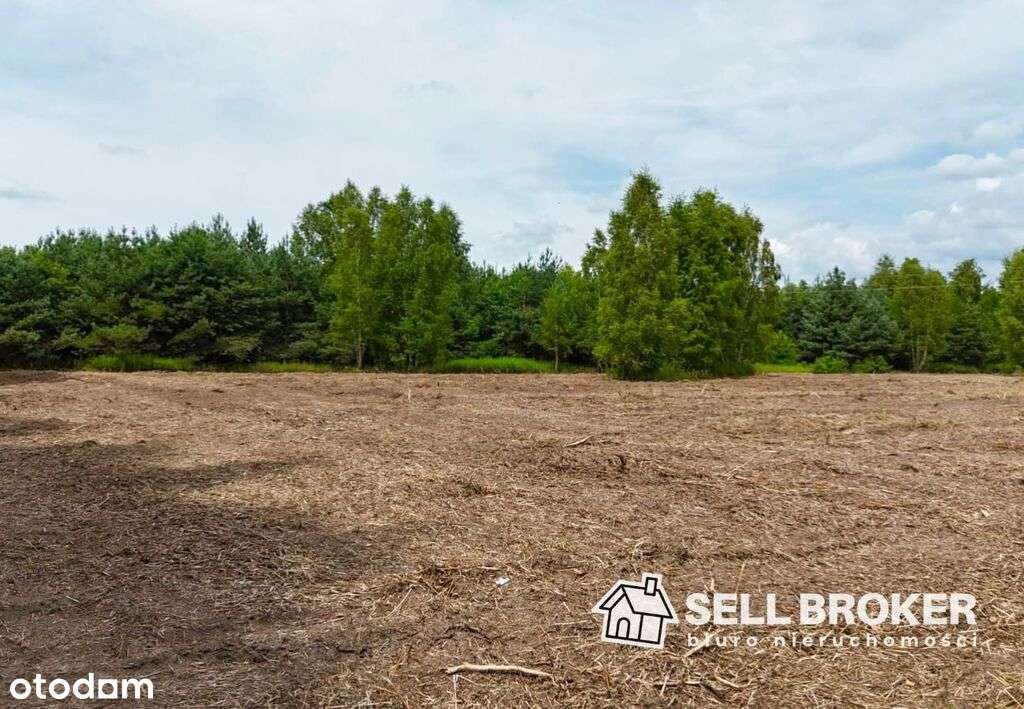 Działka z WZ idealna pod inwestycję / 11 400 m2 - Pełny obrazek: 5/8