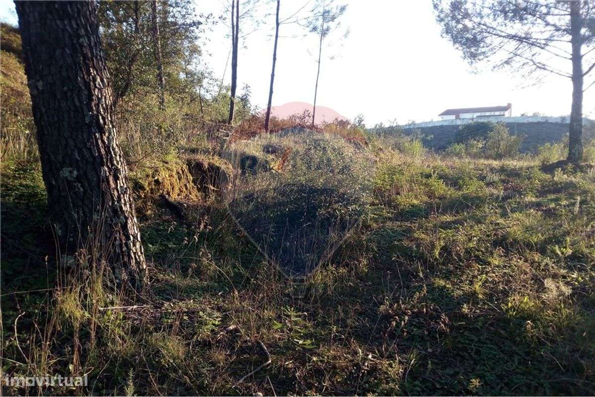 TERRENO PARA CONSTRUÇÃO - Grande imagem: 4/11