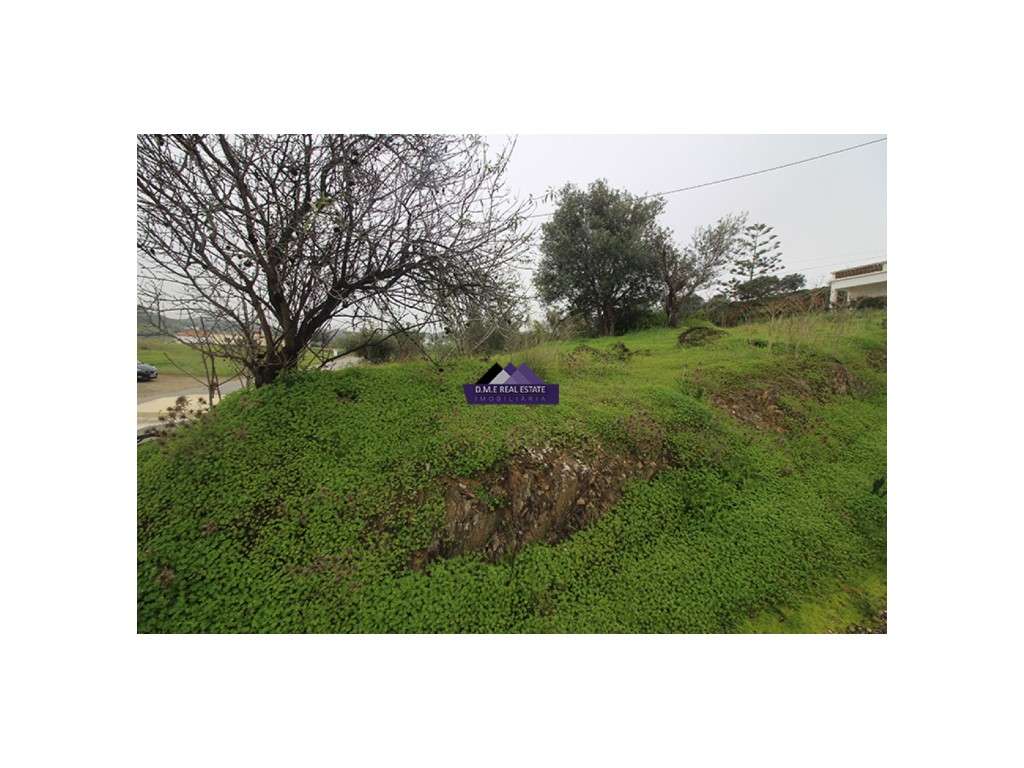 Terreno Rústico - Grande imagem: 4/9