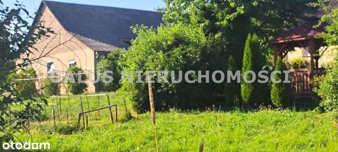 Działka rolna 2,5200 Ha i gospodarstwo-8