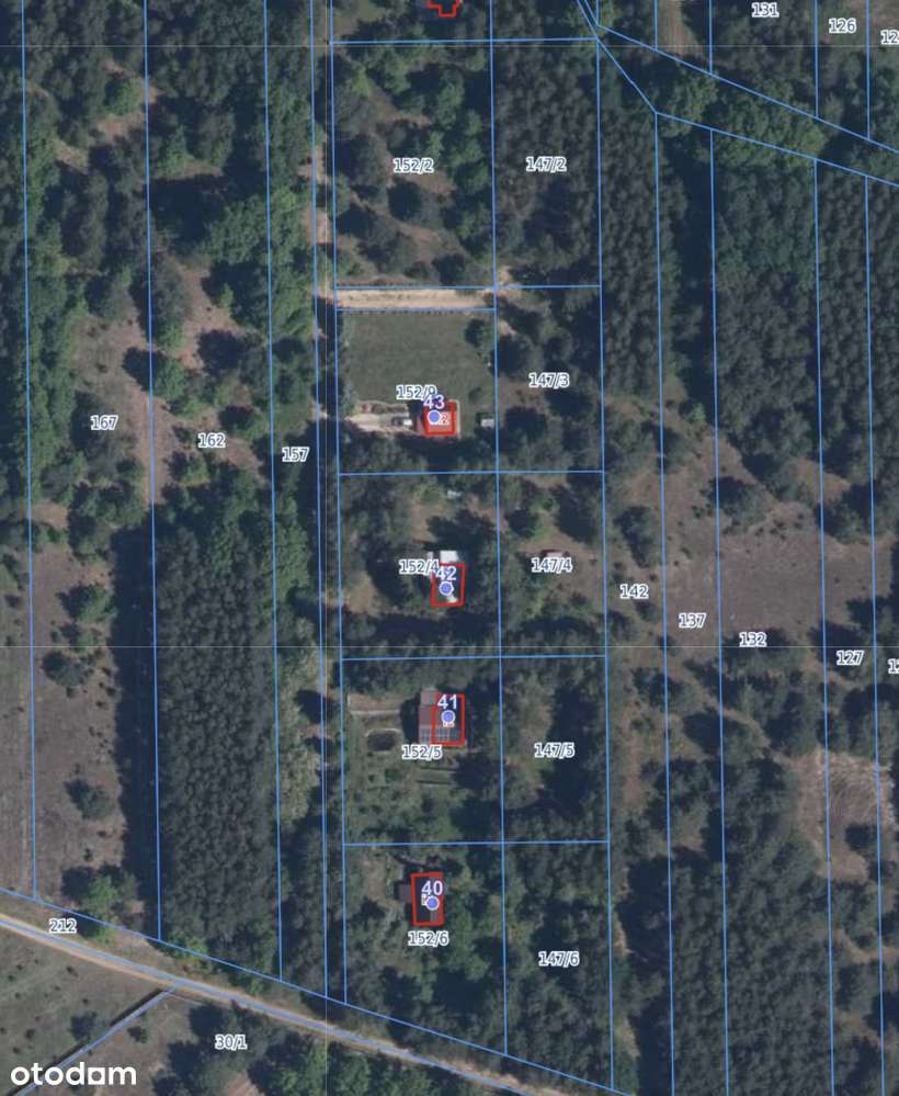 Działka 998 m² pod zabudowę rekreacyjną – Borówek, 45 min od Warszawy - Pełny obrazek: 4/6