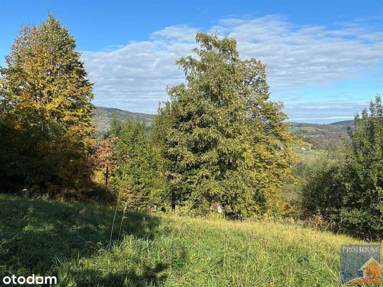 Działka, 1 244 m², Laskowa-13