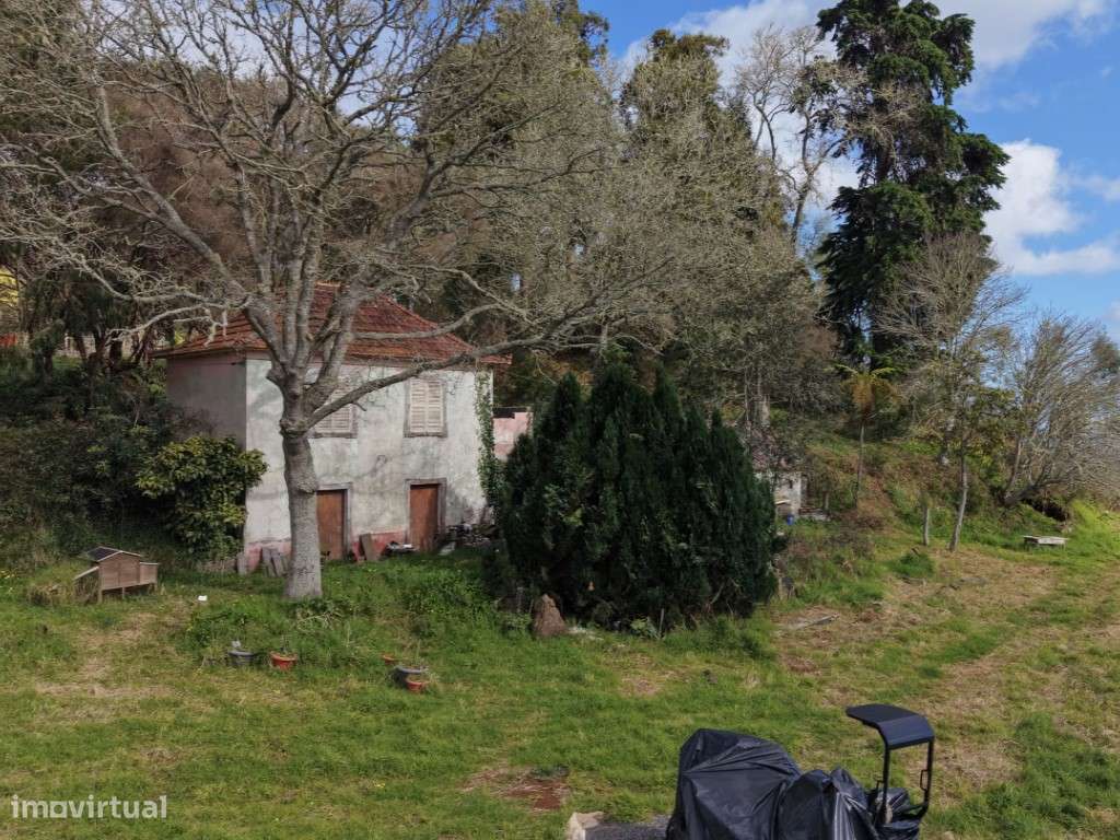 Prédio Misto à Venda - Santo da Serra - Grande imagem: 4/14