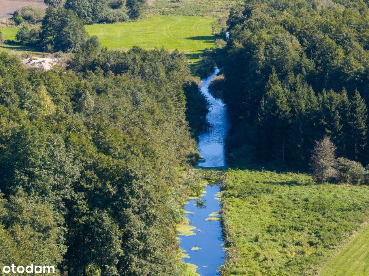 Działka 7,2 ha- przyroda i potencjał inwestycyjny-6