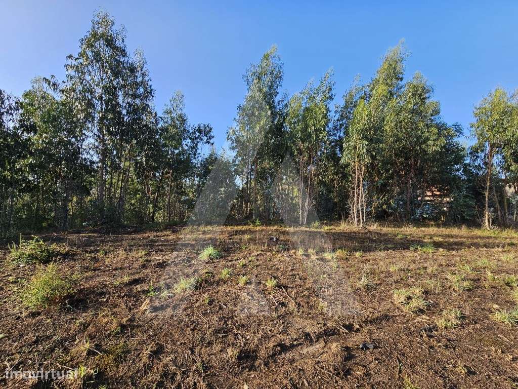 Terreno a cerca de 10 minutos de Aveiro - Grande imagem: 3/14