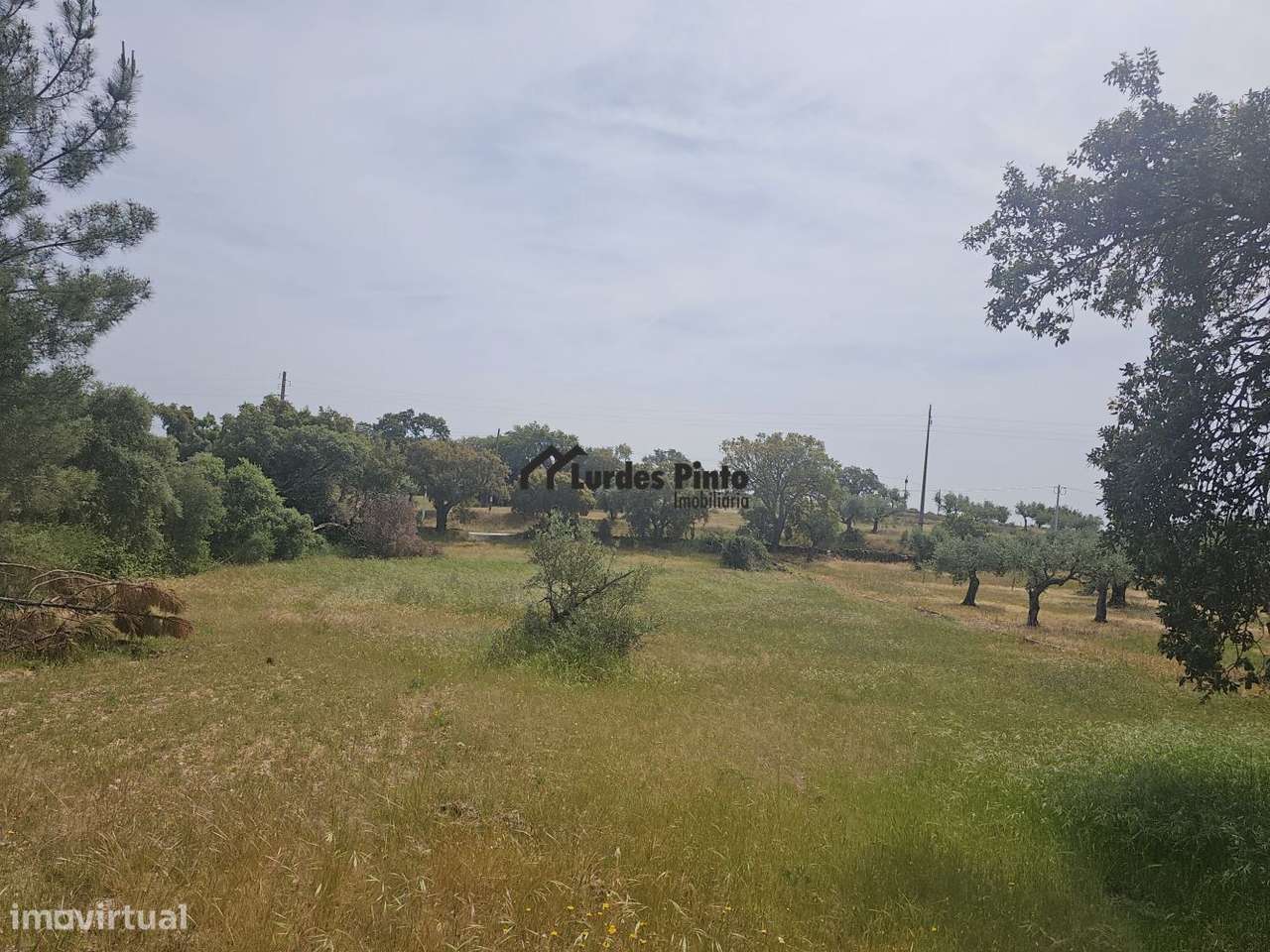 Terreno para construção-10