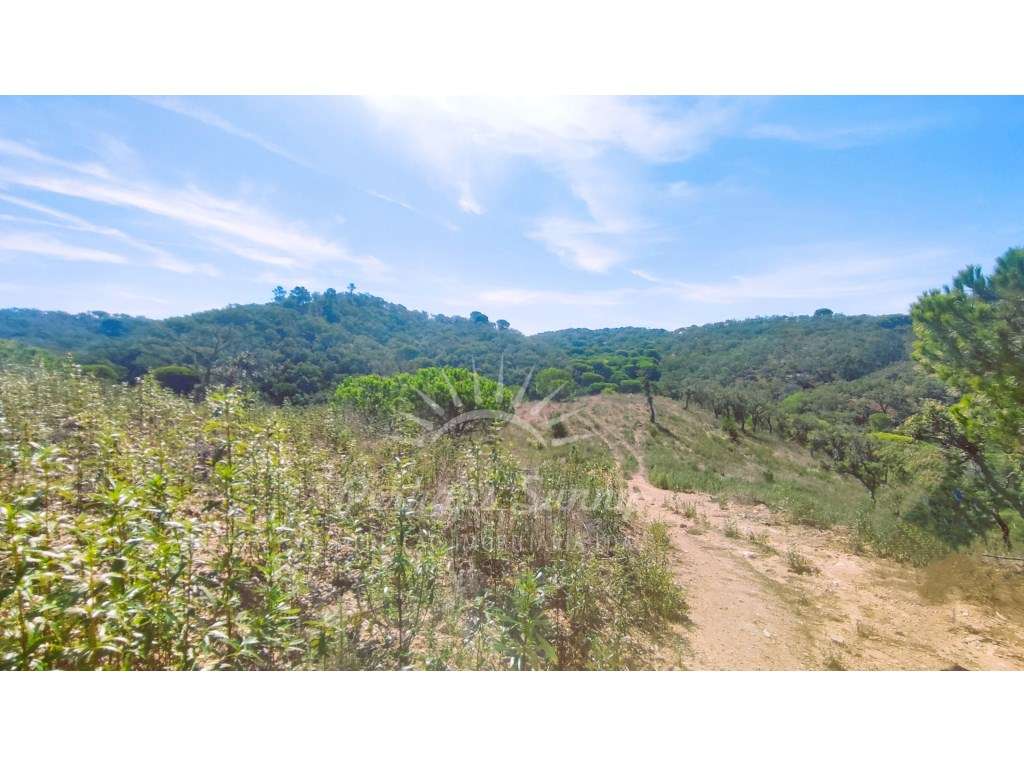 Terreno Rústico - Grande imagem: 2/19