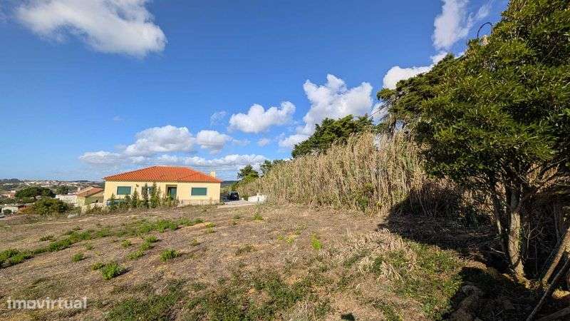Terreno em rua da Cabeça da Mata - Grande imagem: 5/11