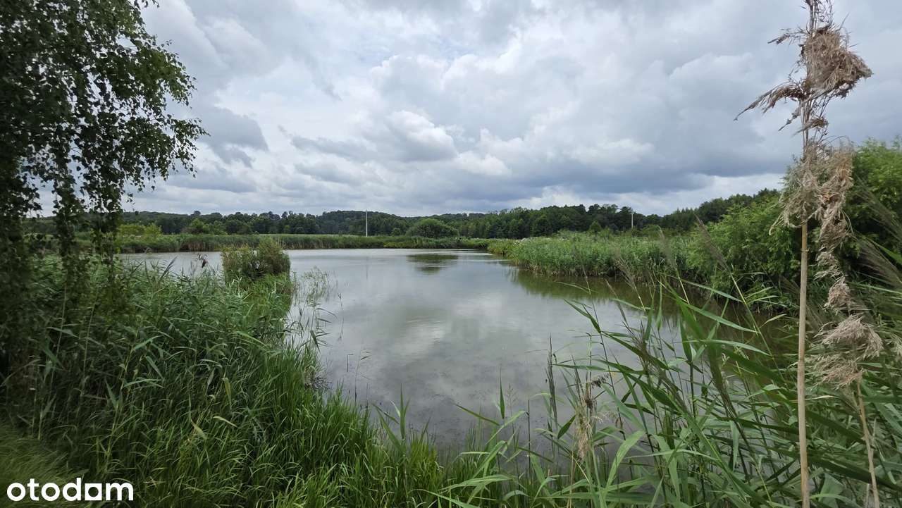 Wyjątkowa działka rekreacyjna  z prywatnym stawem - Pełny obrazek: 5/11