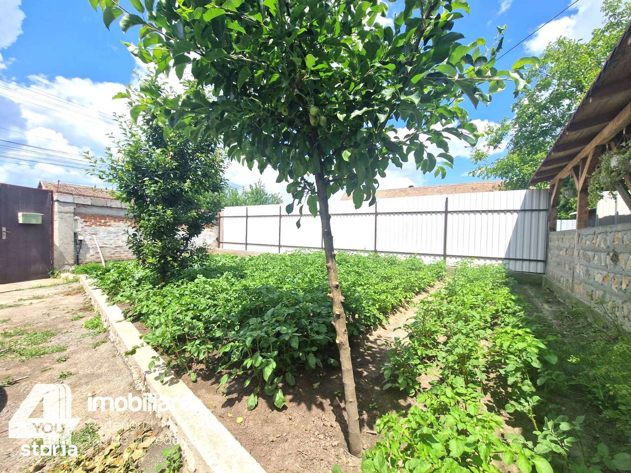 Casa in Loc. Pecica, teren 1602 mp, fs.17 ml, termoteca - Imagine principală: 4/6