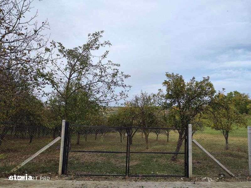 Teren de vanzare langa Zalau, loc. Hereclean - Imagine principală: 4/5