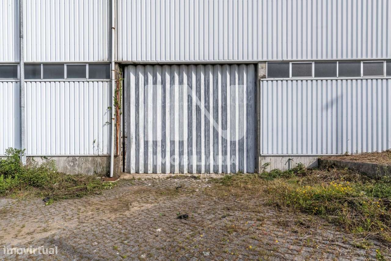 Armazém em Ribeirão-26
