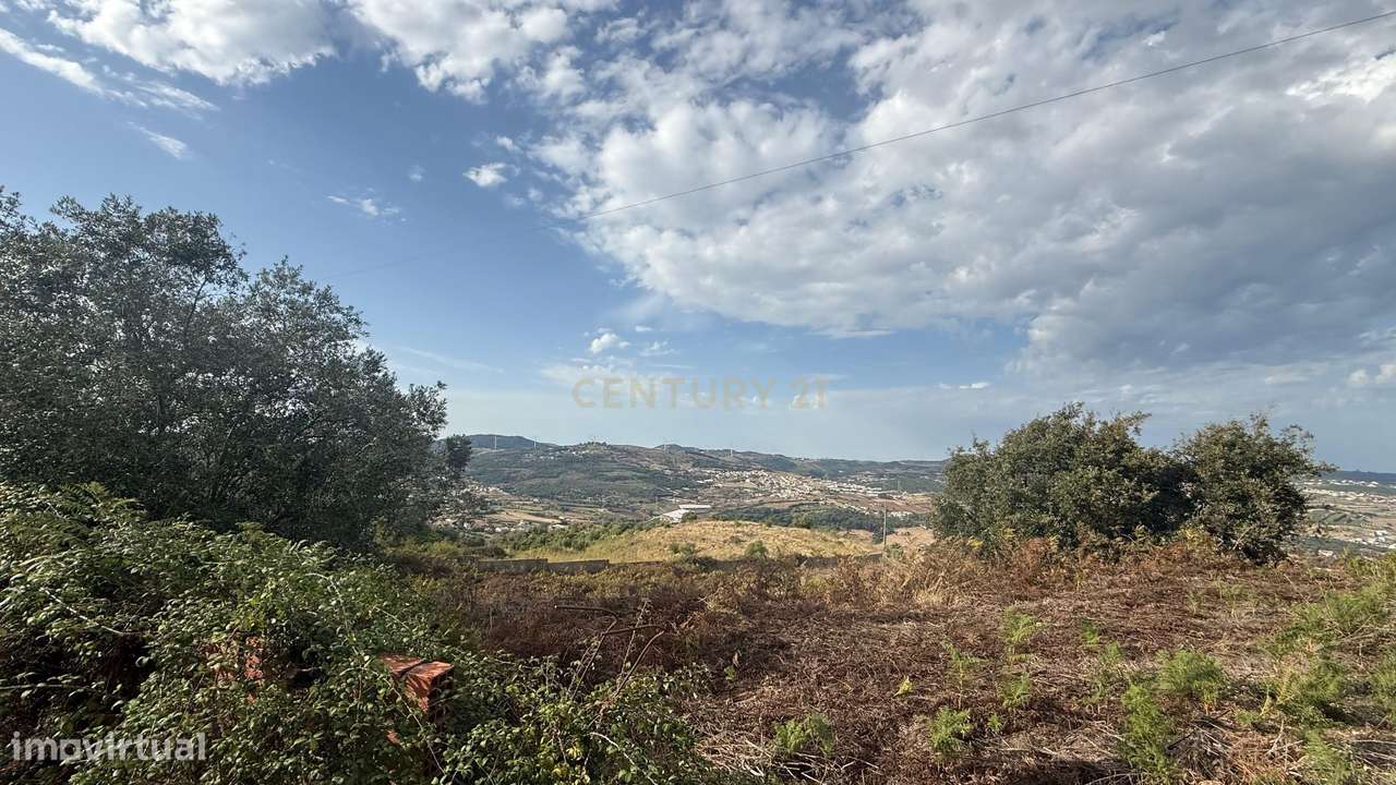 Oportunidade única! Terreno Rustico em Loures - Grande imagem: 5/10