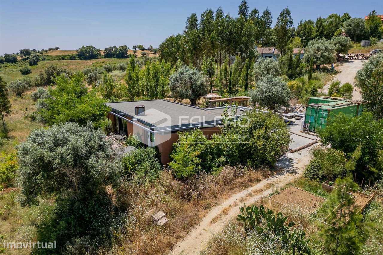Quinta T2+2 Venda em Brogueira, Parceiros de Igreja e Alcorochel,Torre - Grande imagem: 4/50