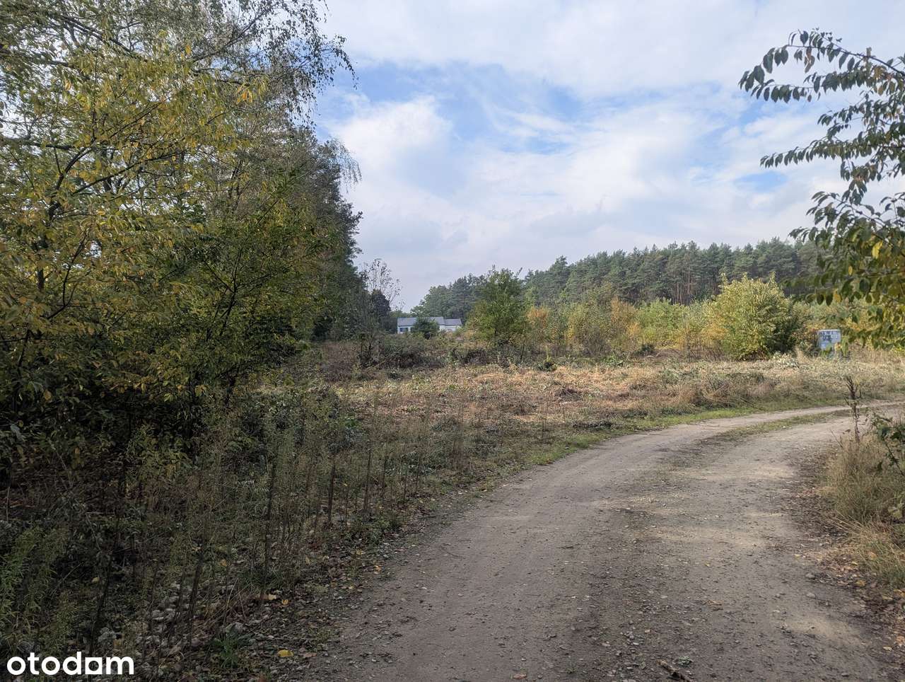 Malownicze działki w Żółwinie z możliwością podziału - bezpośrednio - Pełny obrazek: 4/9