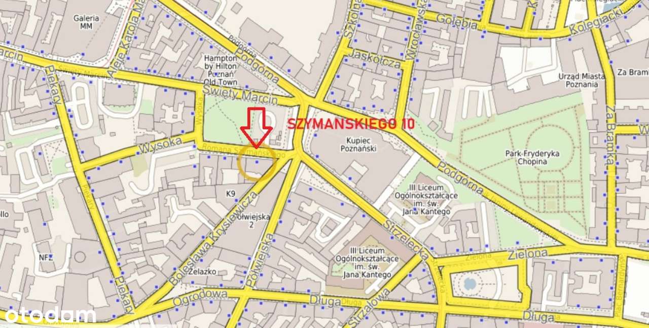 Mieszkanie do remontu - centrum Poznania-9