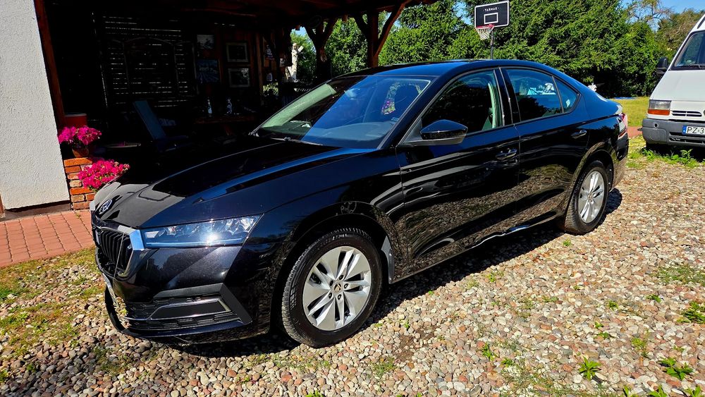 Skoda Octavia IV (2020-) 2.0 TDI DSG Edition Plus 2023
