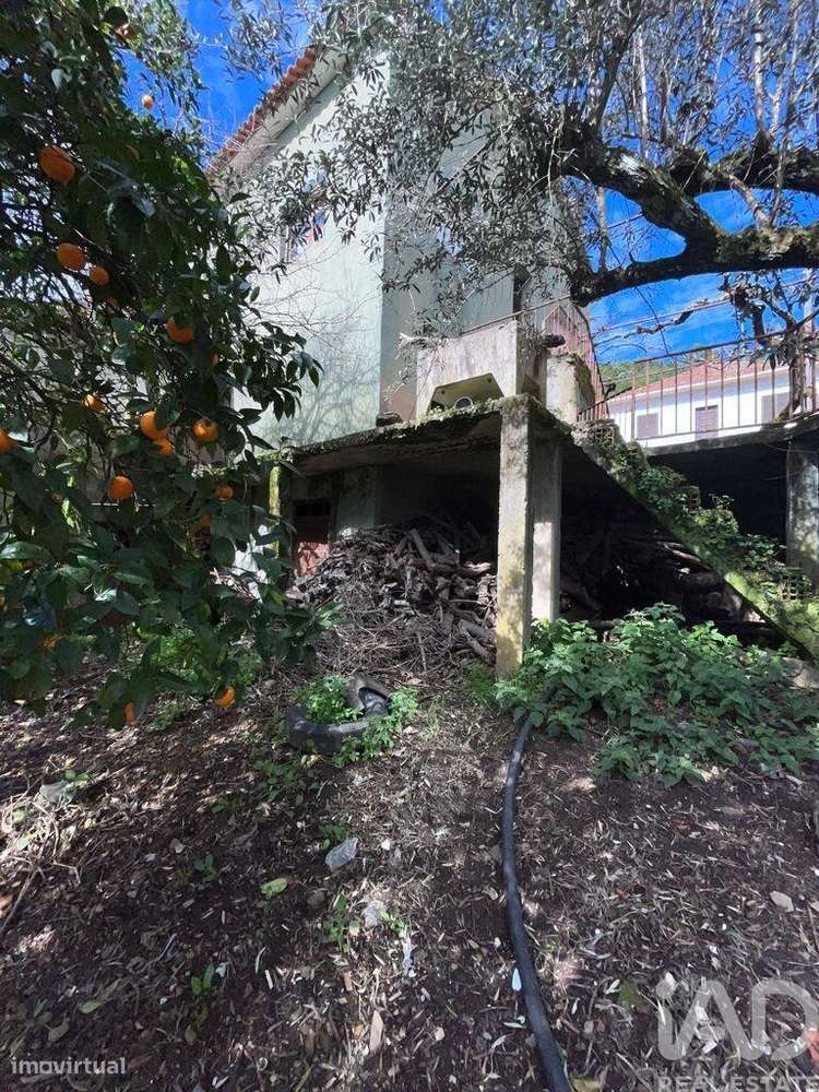 Casa / Villa T2 em Sobreira Formosa e Alvito da Beira de 82,00 m2 - Grande imagem: 3/25