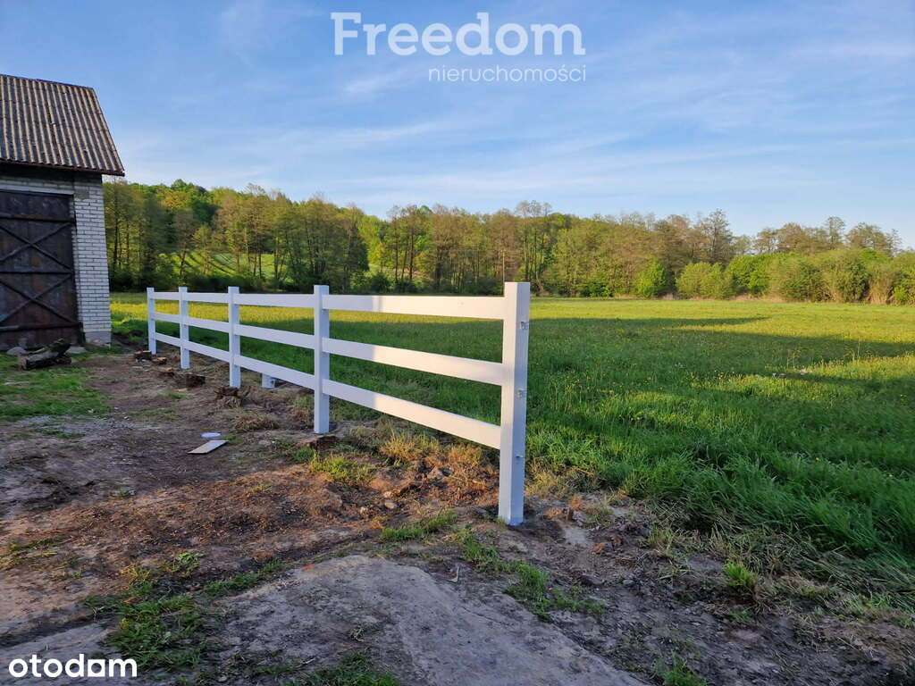 Urokliwy dom w  Nałęczowie na dużej działce - Pełny obrazek: 4/7