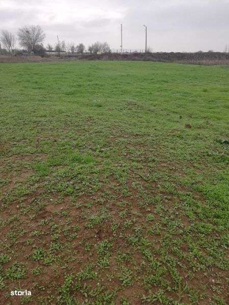 Teren Ghercesti-Aeroport 1000 mp intravilan 47.000 euro - Imagine principală: 4/6