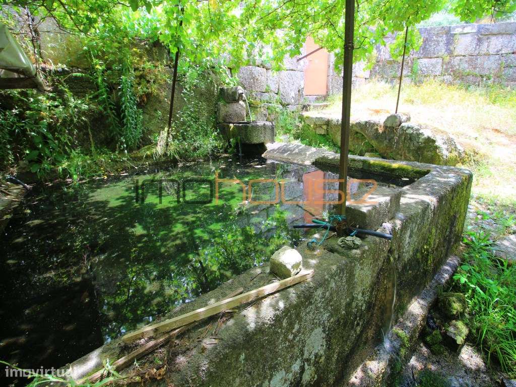 Quinta do séc. 18 - Amarante-9