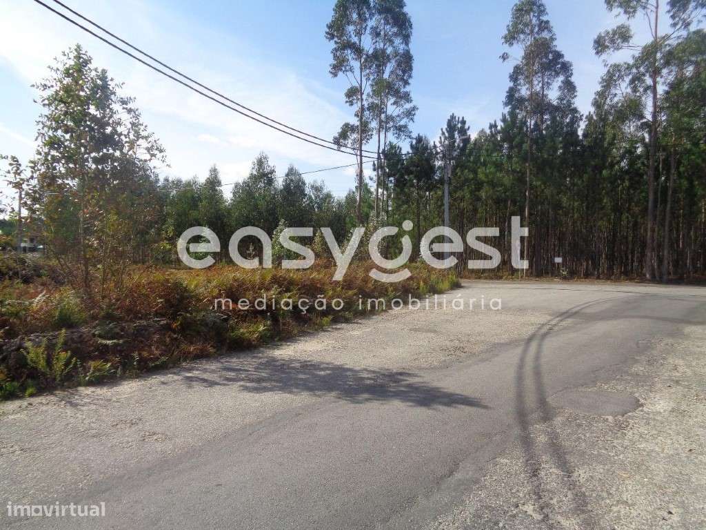 Terreno p/ Construção de Armazém ou Moradias - A29 Maceda/Arada - Grande imagem: 4/9