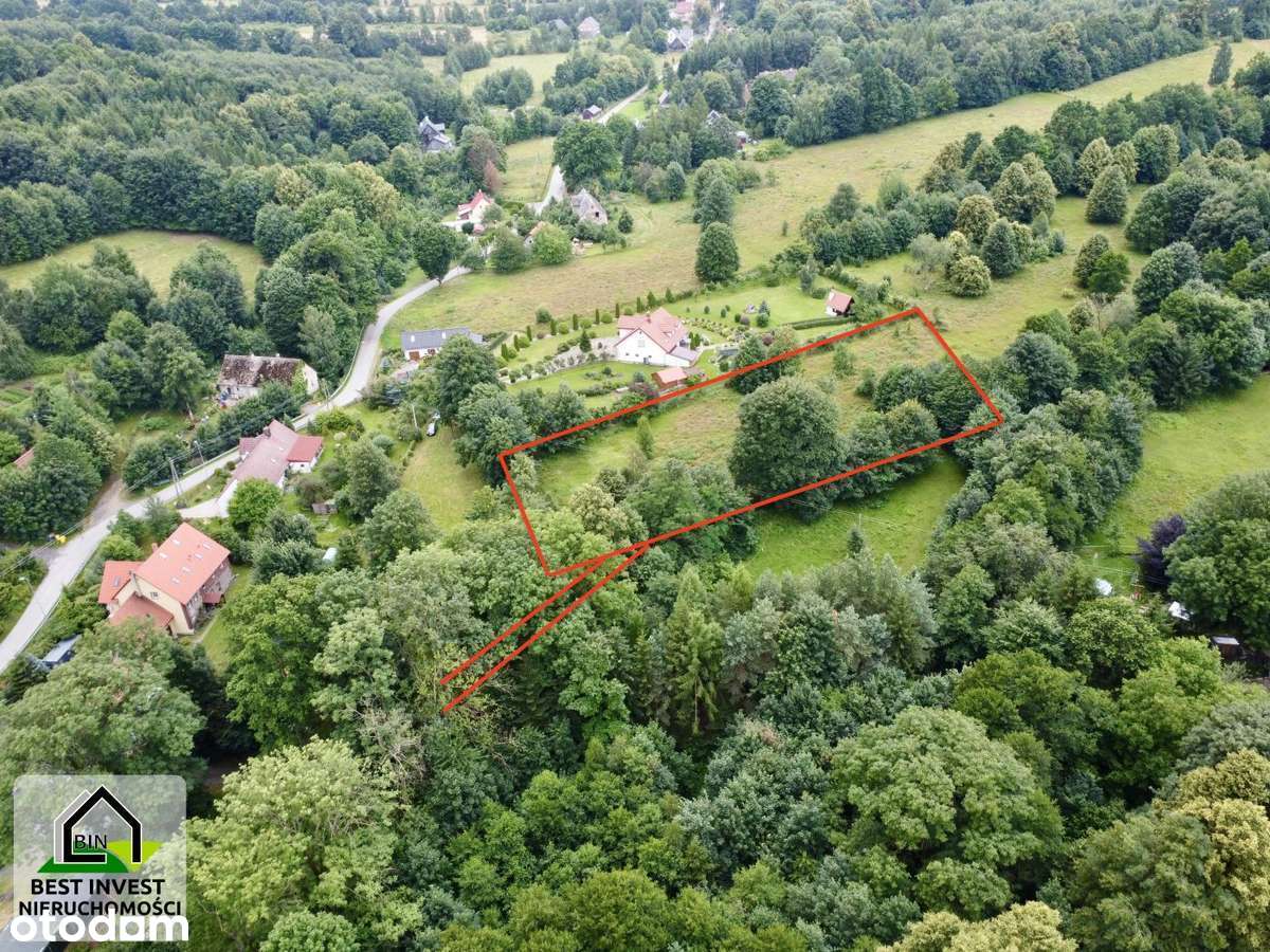 Działka w Przecznicy z Warunkami Zabudowy - Pełny obrazek: 4/19