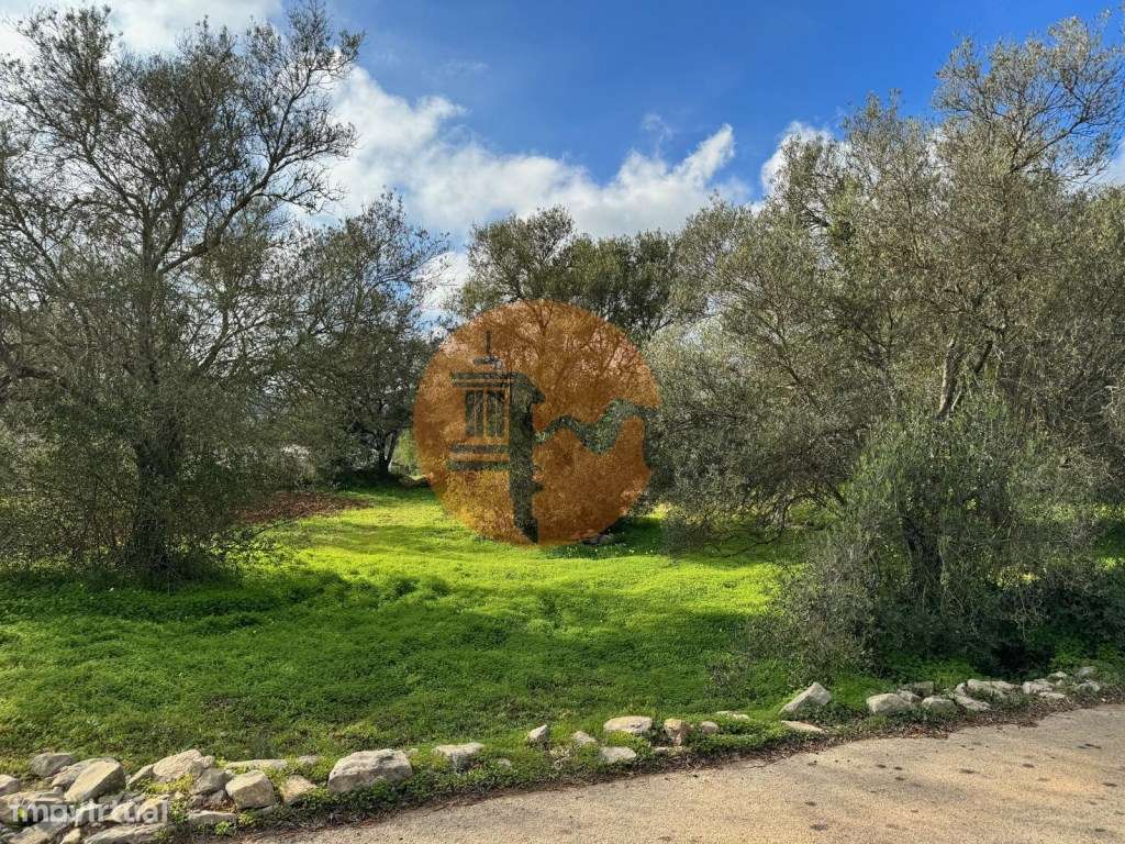 Terreno Urbano para Construção em São Brás de Alportel - Zona dos M... - Grande imagem: 5/17