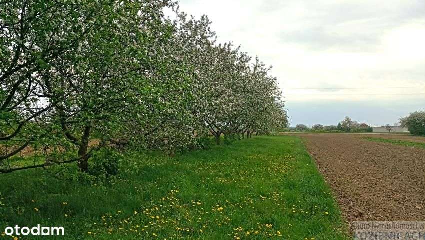 Sieciechów.Sielski dom.-12